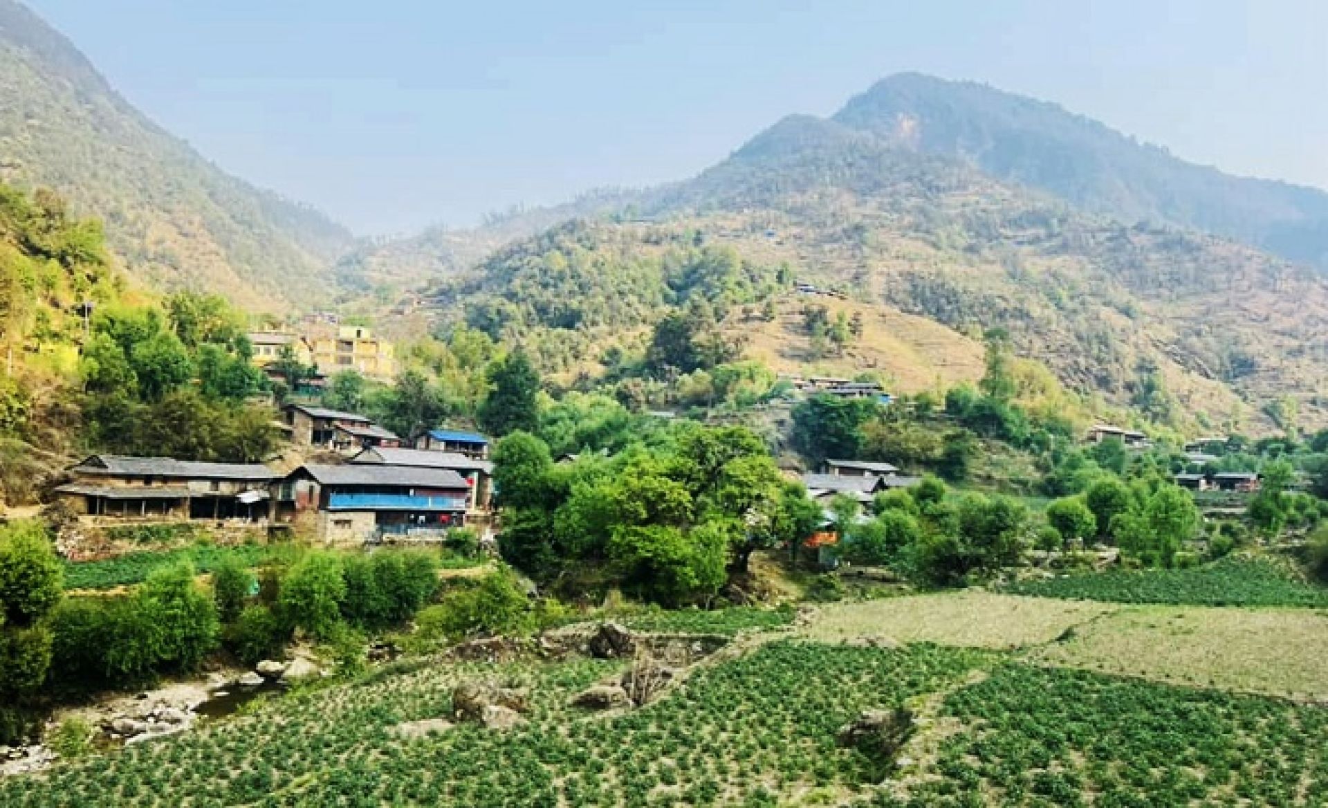 बागलुङमा ५६ हजार दुई सय ४० ‘मेट्रिकटन’ आलु उत्पादन